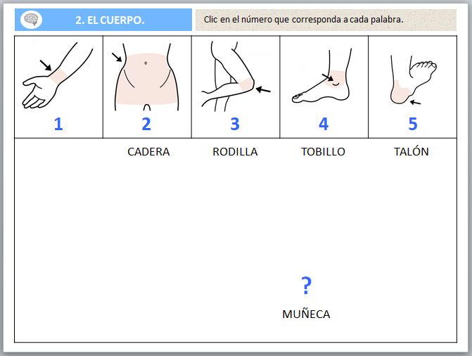 Sem Ntica Vamos A Identificar Y Aprender Vocabulario Pictofacile