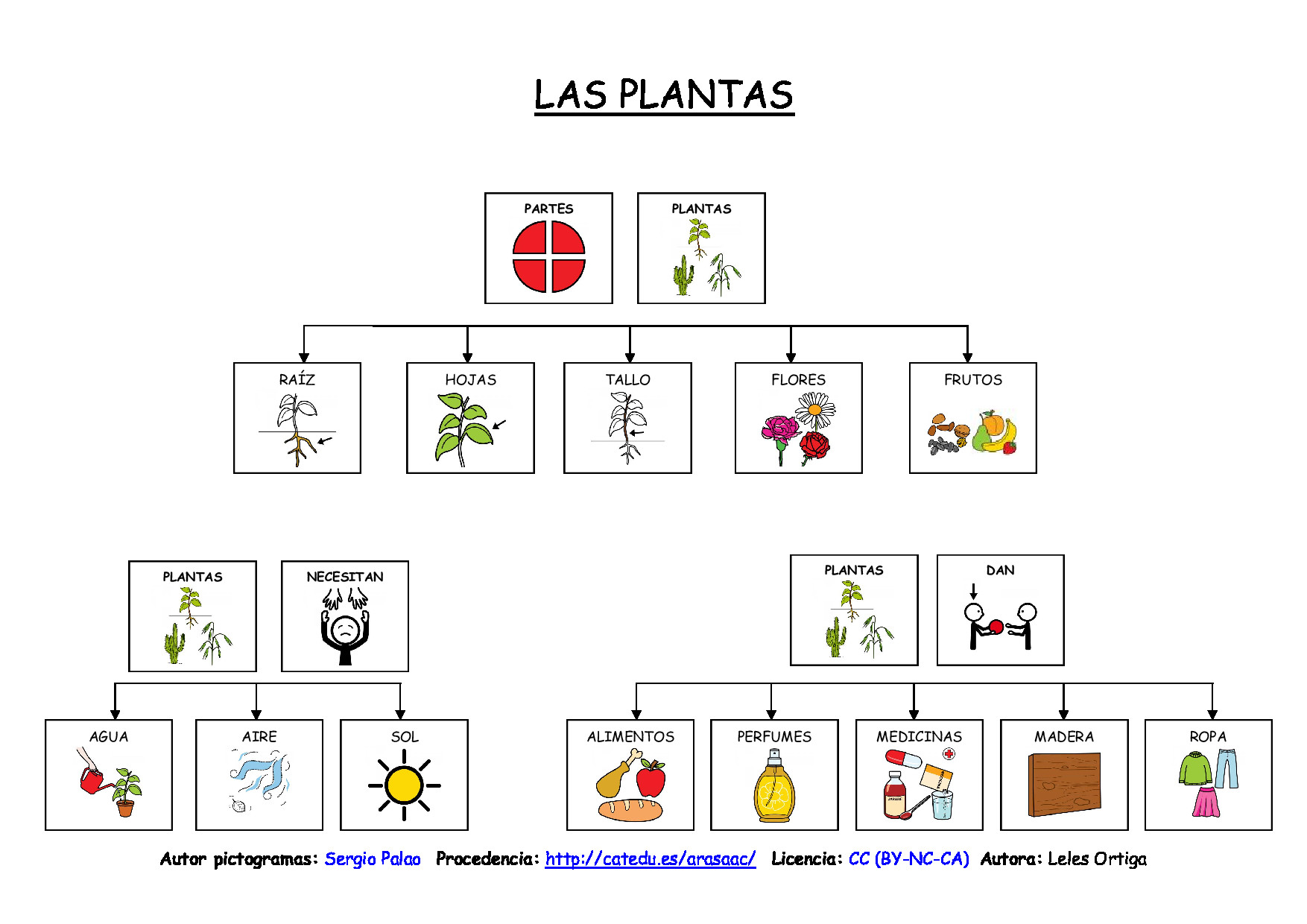 Las plantas: mapas conceptuales