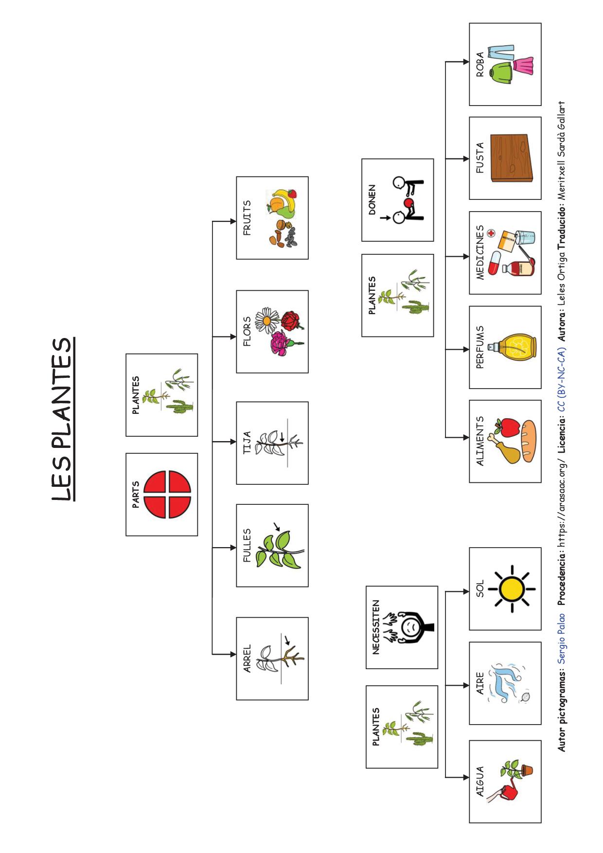 Les plantes - Mapes conceptuals