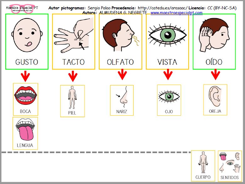Clasificación semántica de conceptos