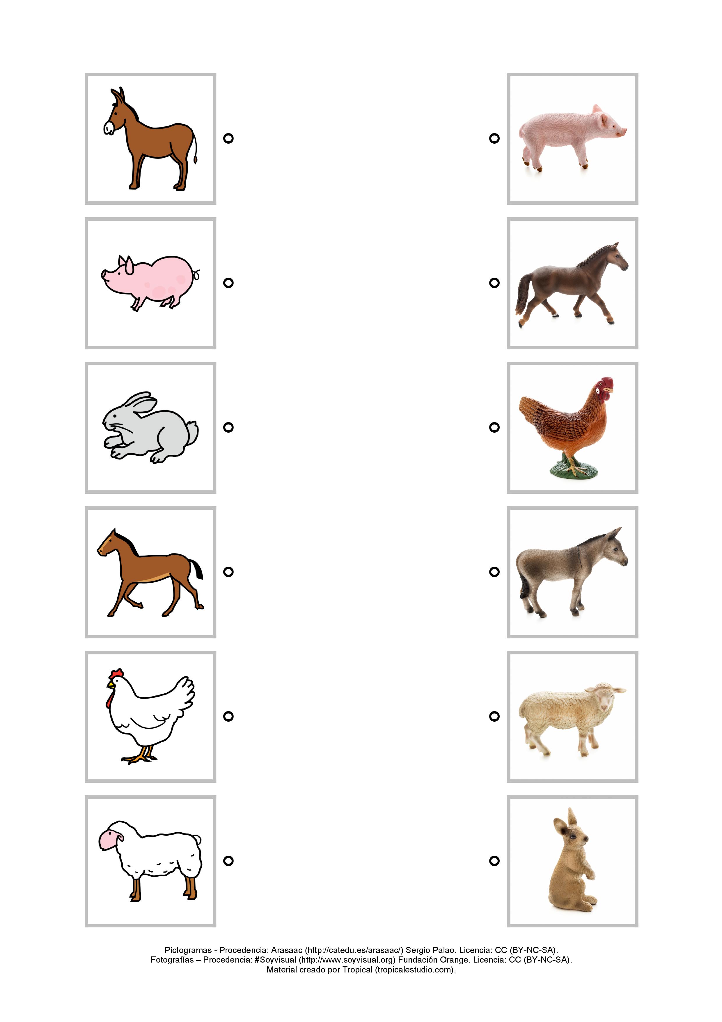 Relacionar pictogramas - fotografías sobre los animales.