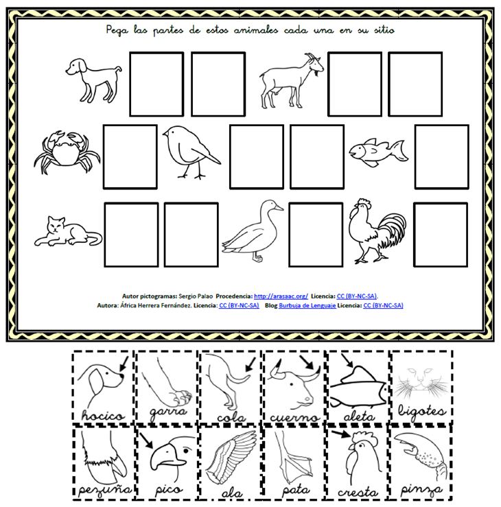 Cuaderno de actividades sobre los animales