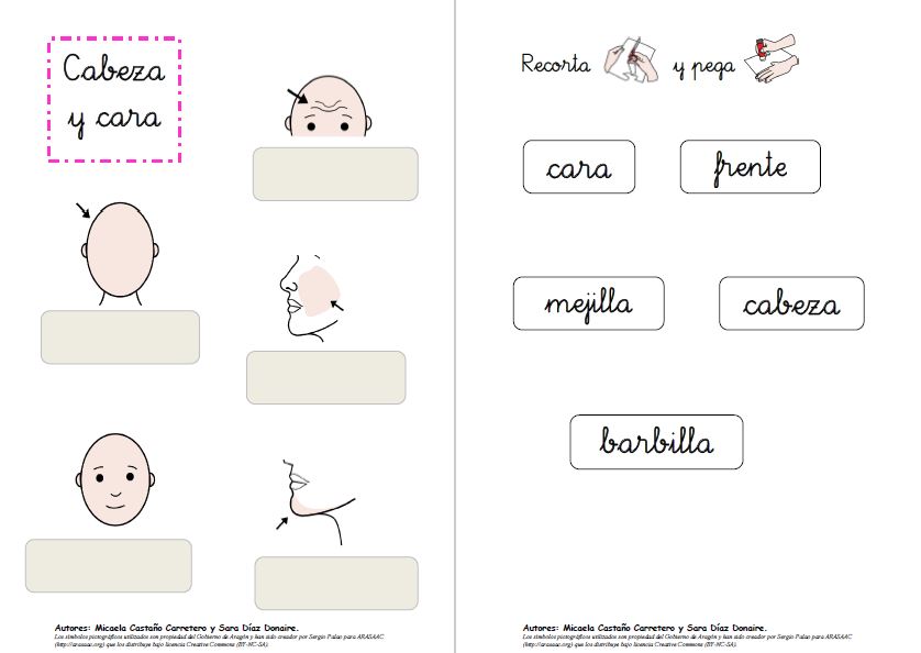 Aprendo, leo y escribo vocabulario sobre las partes de la cara