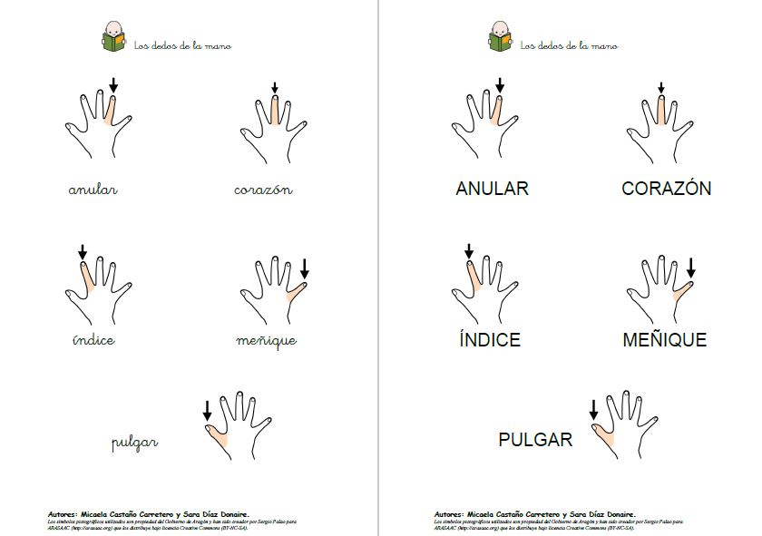 Aprendo, leo y escribo vocabulario sobre los dedos de la mano