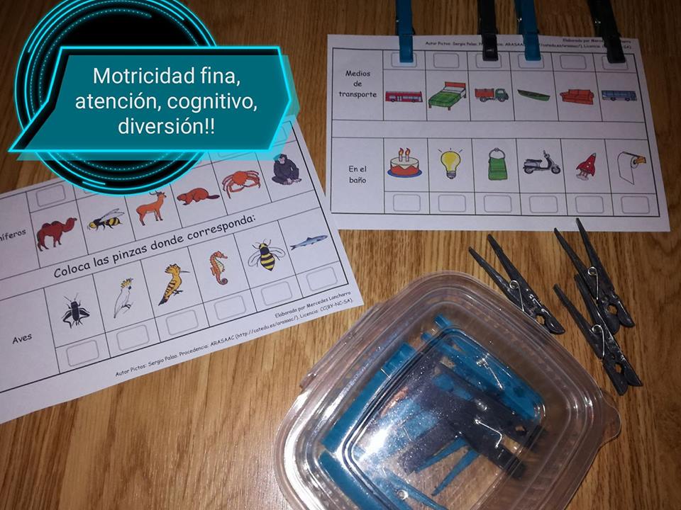 TEACCH - Aprendo a clasificar vocabulario con pinzas
