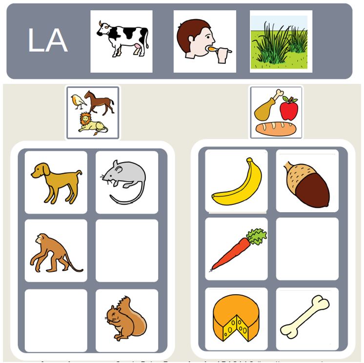 Morphosyntax - Ce que mangent les animaux