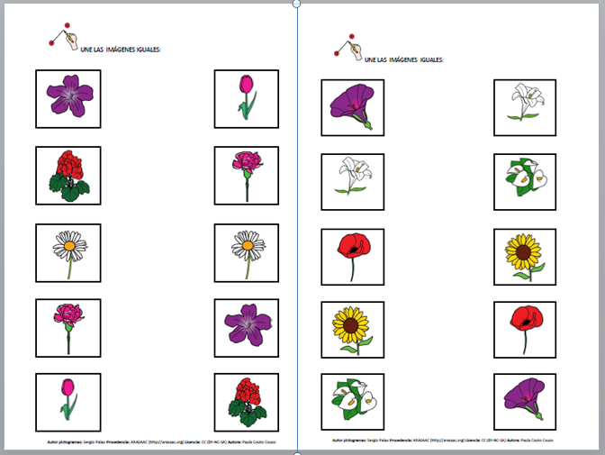 Identifico y aprendo las flores de primavera