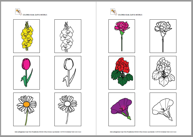 Identifico e aprendo flores de primavera