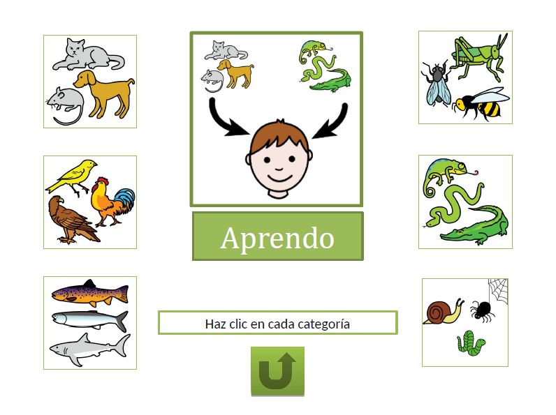 Los animales - Cuadernos didácticos y actividades para diferentes niveles