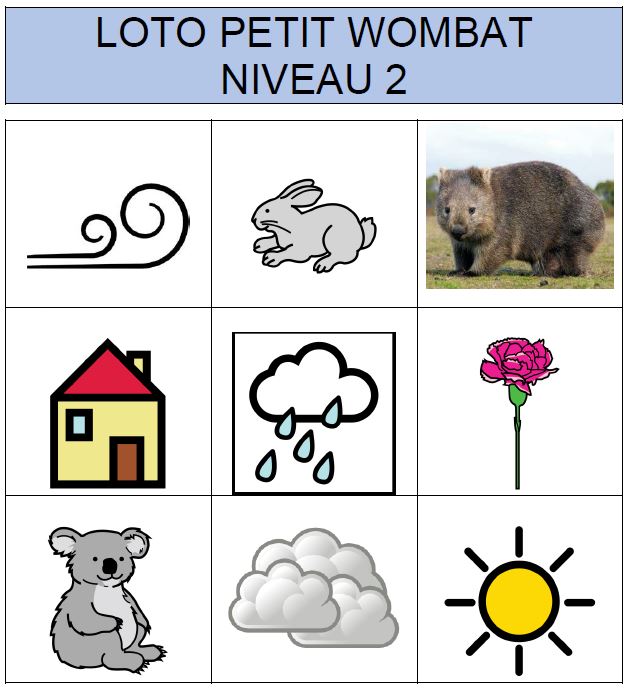 Collection de lotos en français