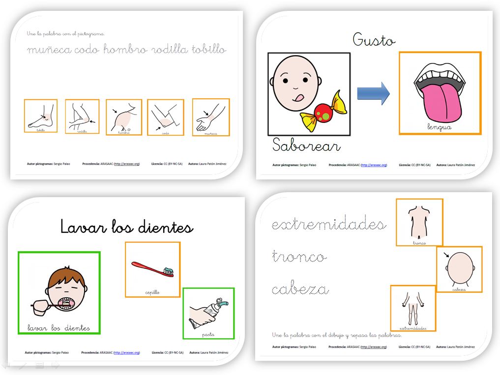 Unidades didáticas adaptadas com atividades do 1º Ciclo da disciplina de Ciências Naturais