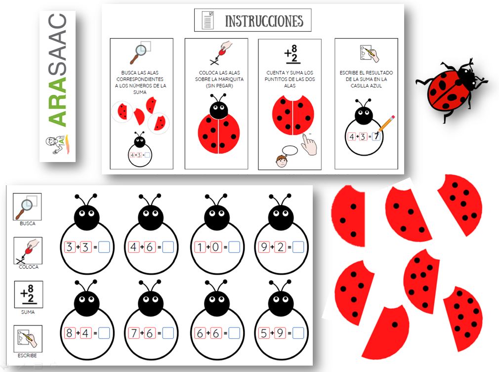 Material TEACCH - Mariquitas matemáticas