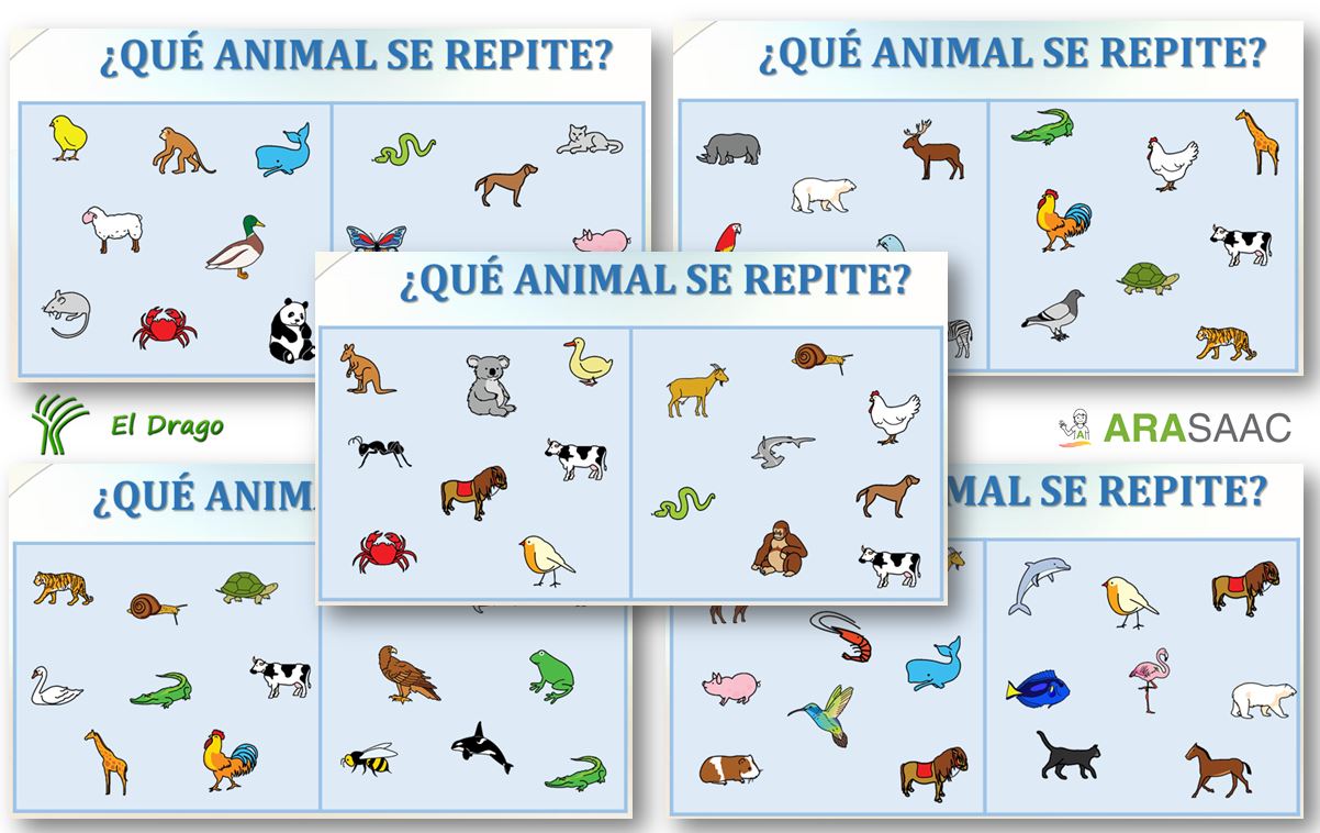 Atención - Qué animal se repite