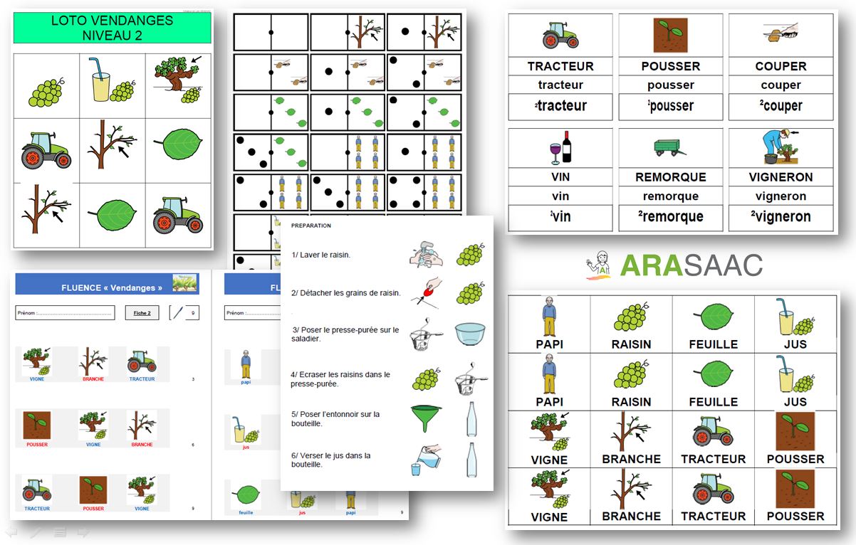 Matériels pédagogiques - Vendanges