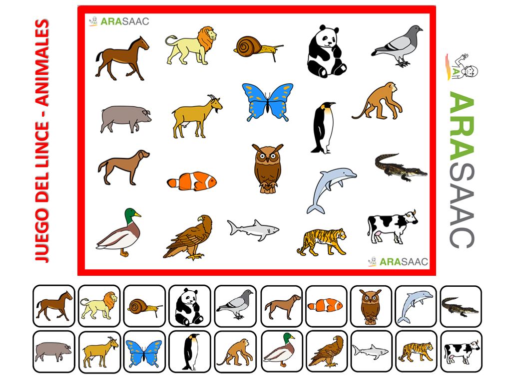 Vamos a jugar con los ANIMALES