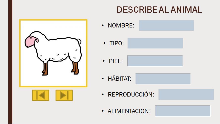 Aprendemos a describir personas y animales