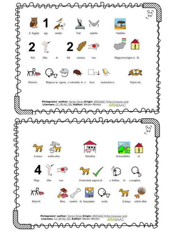 Tanuljunk a bagolyról és a kutyáról