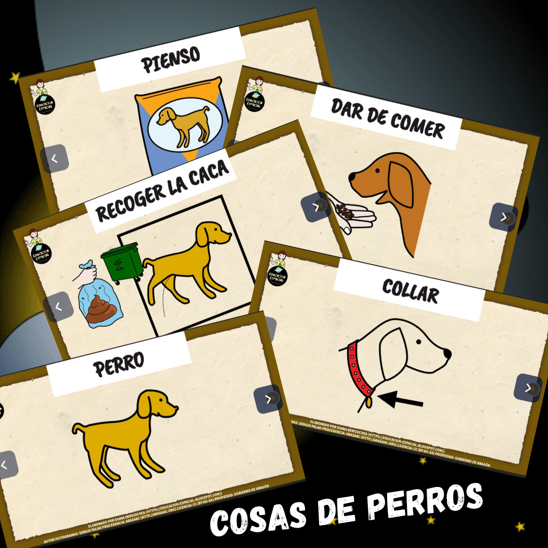 .Tarjetas bits de inteligencia organizadas por centros de interés
