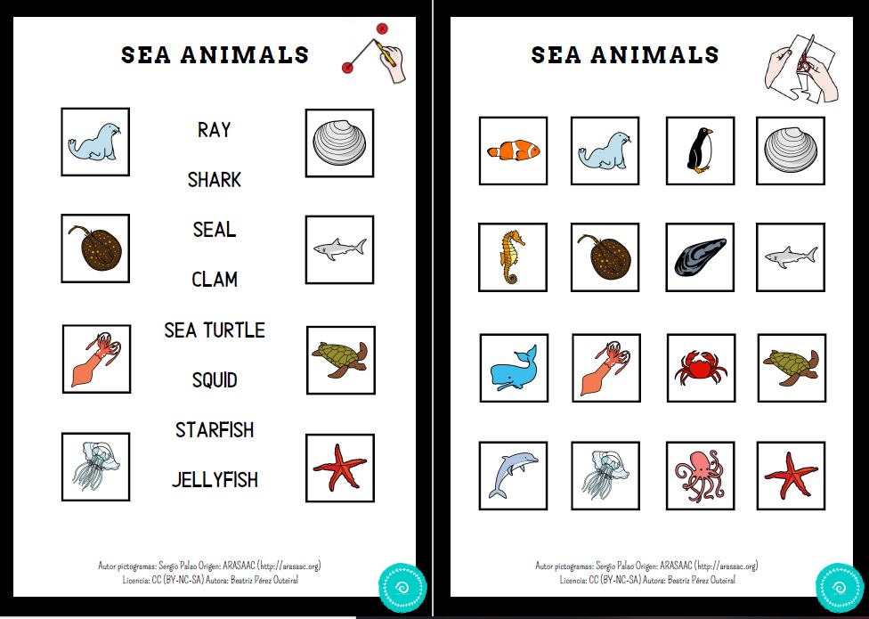 Learn vocabulary - Animals