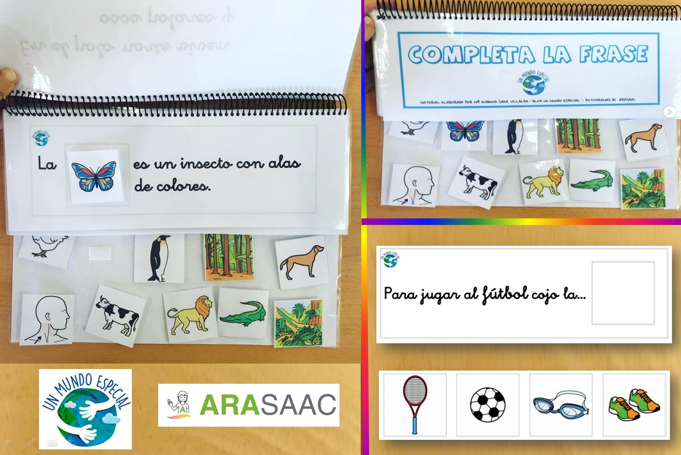 Material TEACCH -Razonamiento y comprensión de oraciones - Animales, deportes y varios