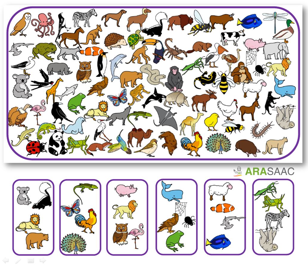 Juego del Lince - Animales