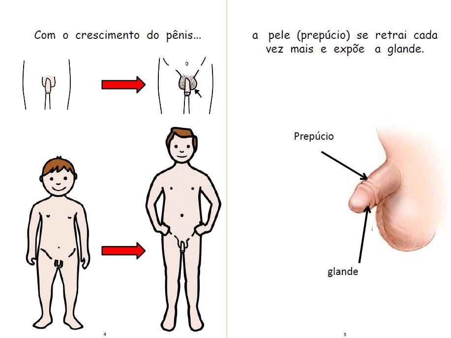 Mini book - História social - Higiene íntima