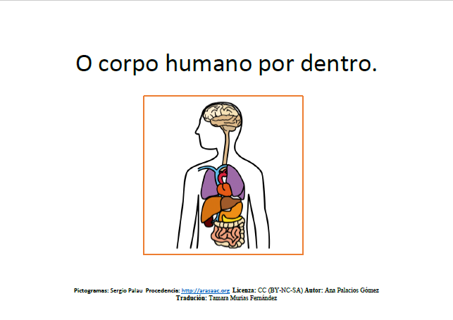 O CORPO HUMANO POR DENTRO