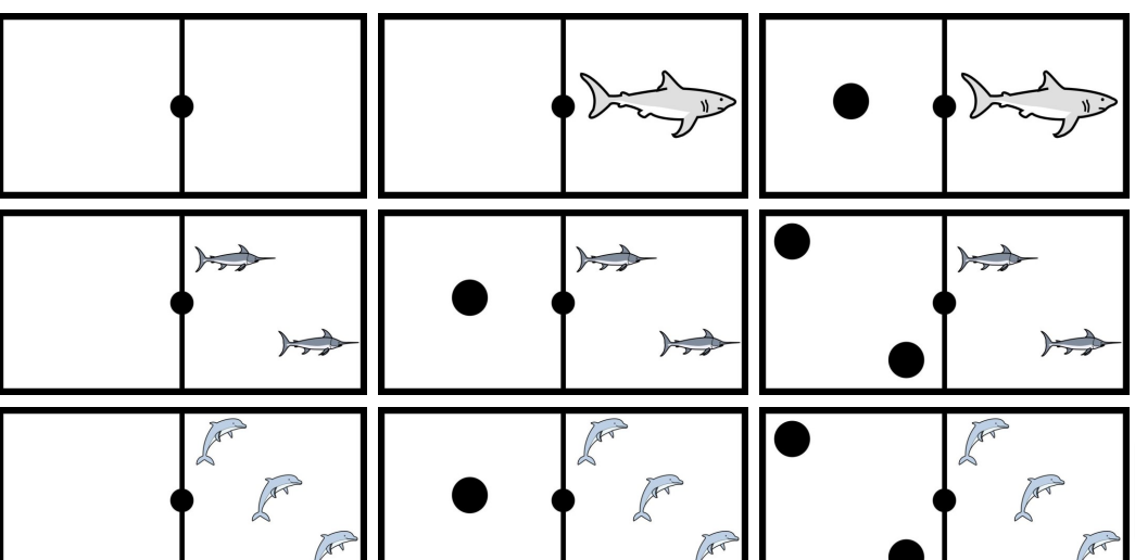 Dominó animais acuáticos