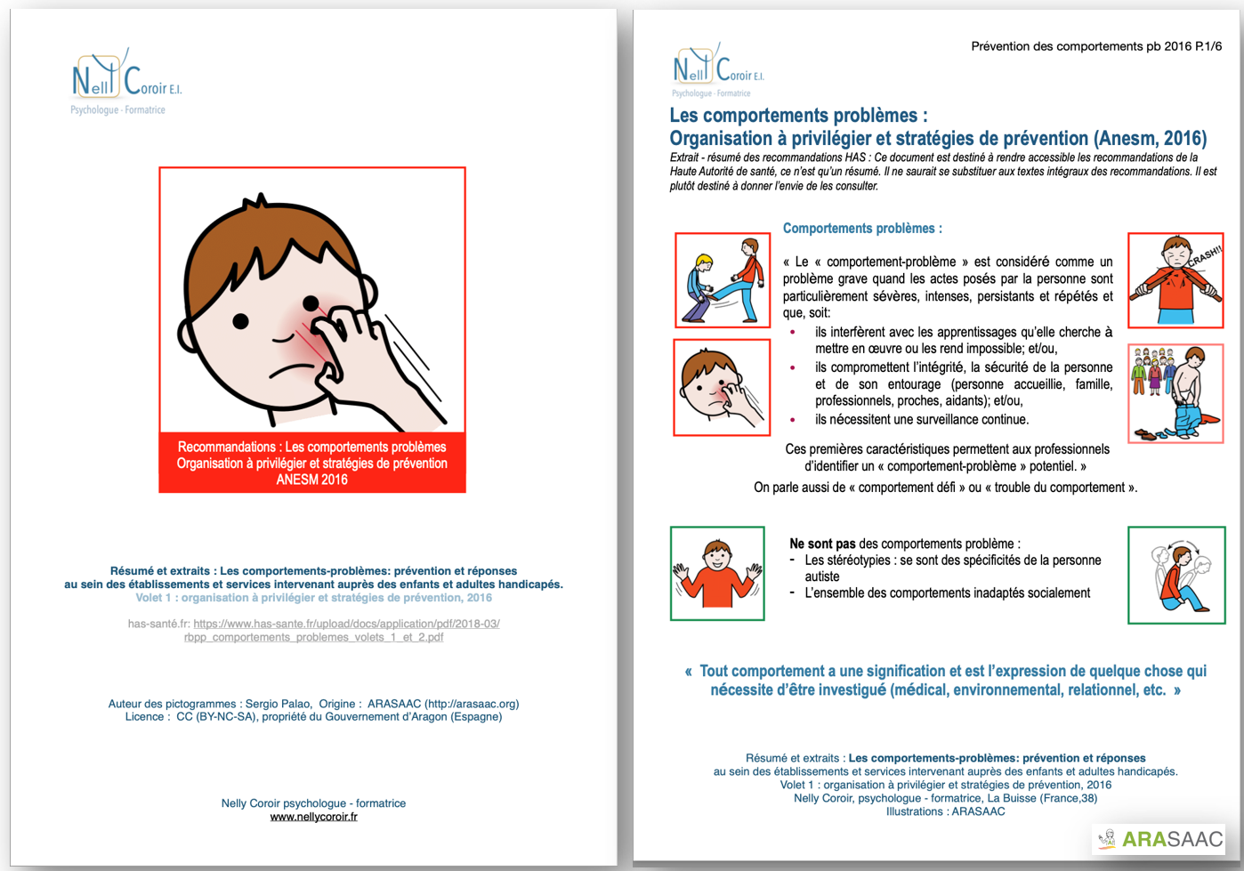 Extrait/résumé illustré : Recommandations ANESM : Comportements problèmes : organisation à privilégier et stratégies de prévention