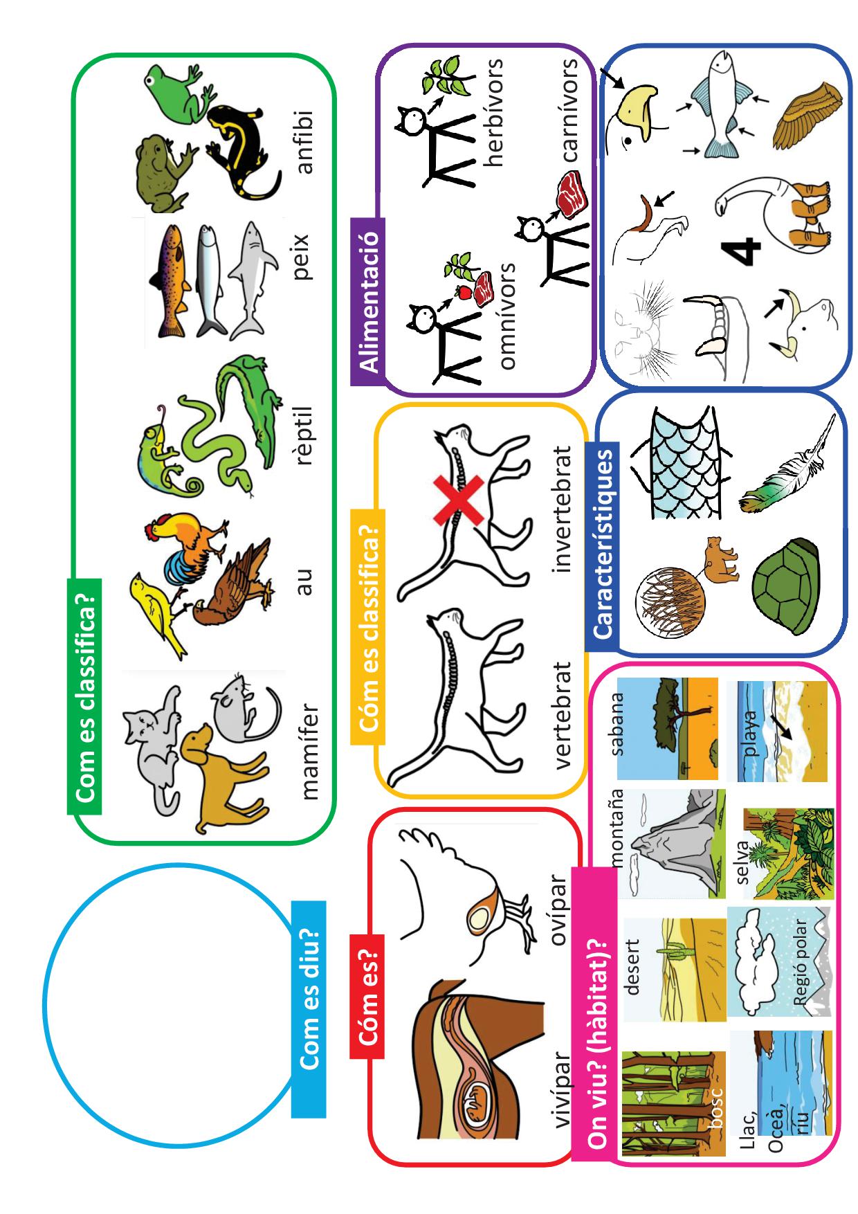 Descripció del animals