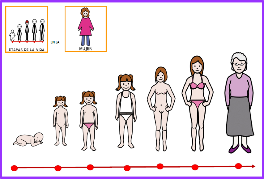 Los cambios en la mujer: de niña a mujer; la menstruación.