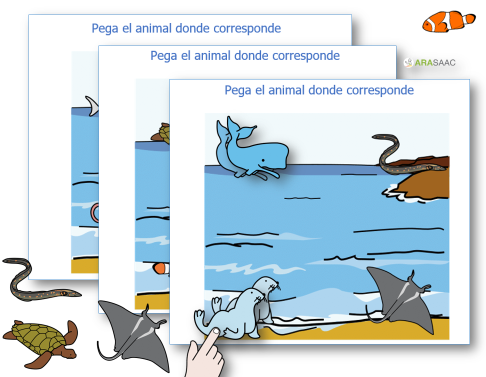Material TEAACH: Los animales marinos