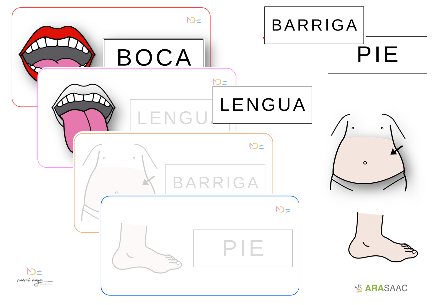 Tarjetas TEACCH: Partes del cuerpo