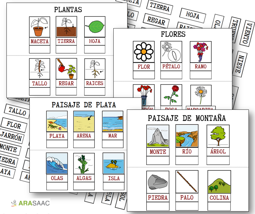 Material TEACCH: Vocabulario naturaleza 