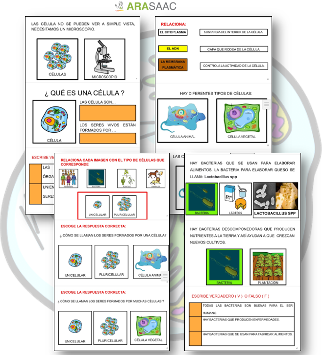 Unidad Didáctica: La célula