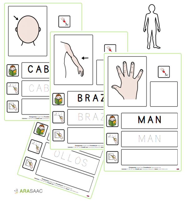O libro do corpo humano