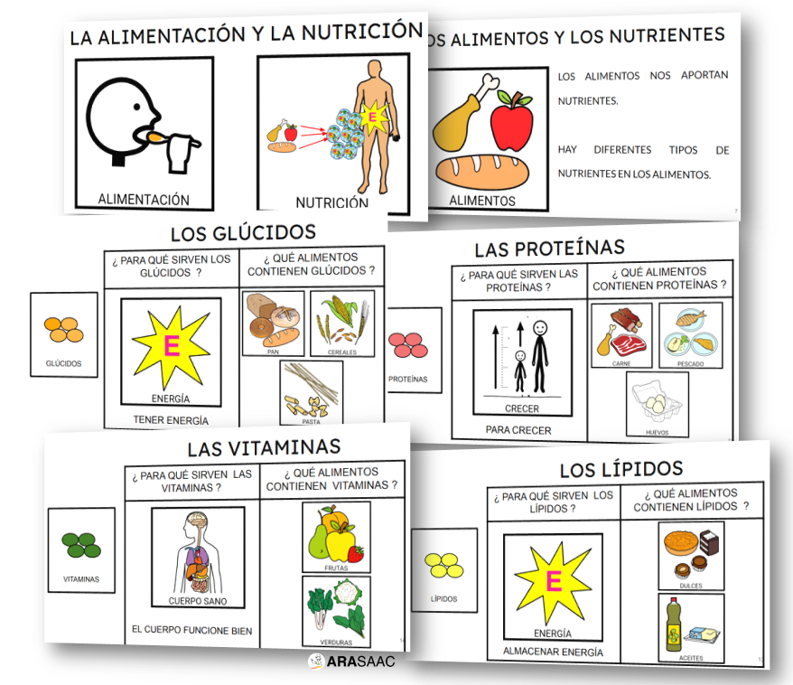 U.D: Alimentación y nutrición 