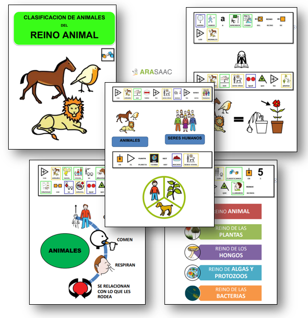 UNIDAD DIDÁCTICA: CLASIFICACIÓN REINO ANIMAL