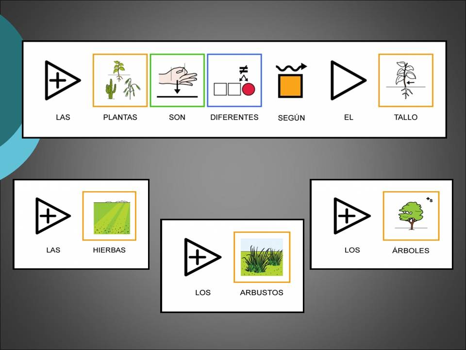 Unidad Didáctica - Las Plantas | Pictofacile.com