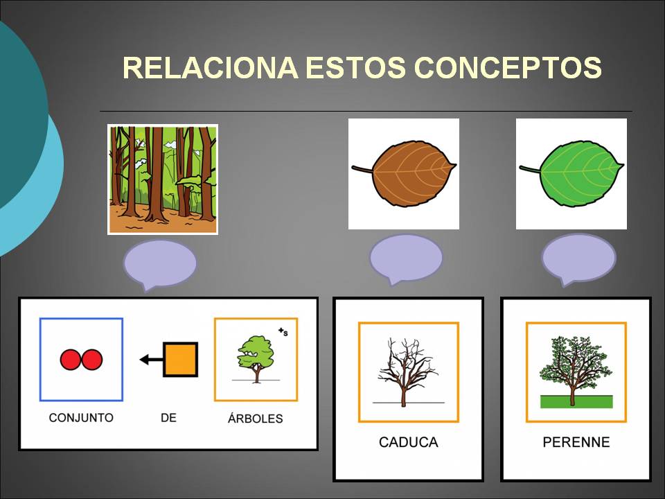 Unidad Didáctica - Las Plantas | Pictofacile.com