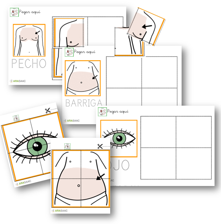 Juego:  Puzzle 4 piezas El cuerpo humano. 