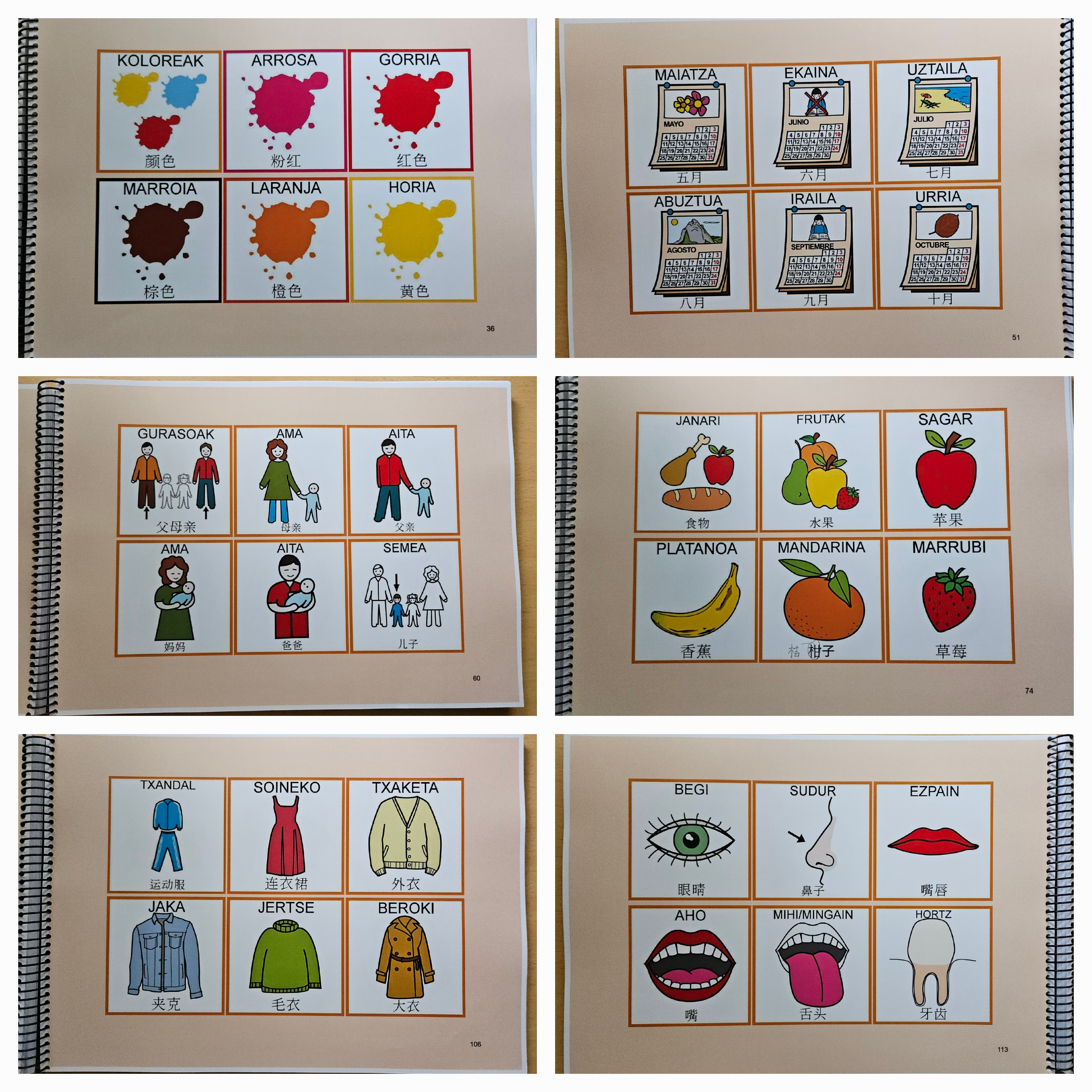 巴斯克语-汉语象形词典_語言多樣性的豐富色彩