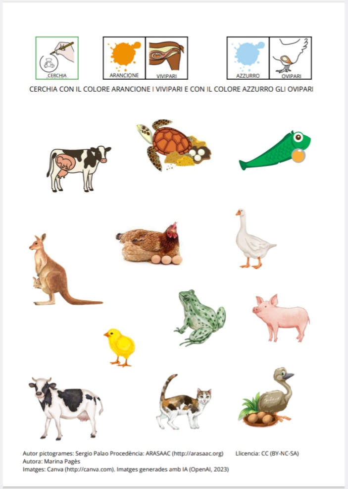 Quaderno: Classificazione degli animali