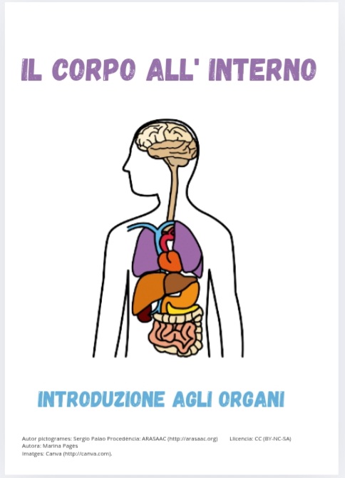 Quaderno: Il corpo all'interno - Organi