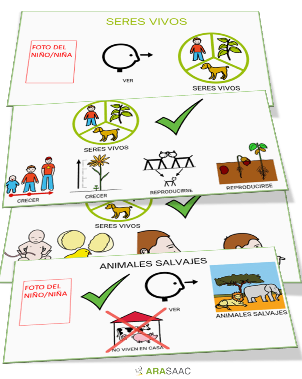 Unitat didàctica: Els animals
