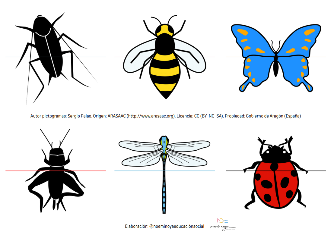 Puzzle de deux pièces sur le thème des insectes - Pictofacile