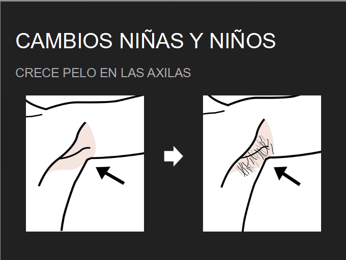 Cambios del cuerpo en la adolescencia.