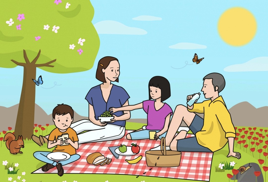 Láminas para describir