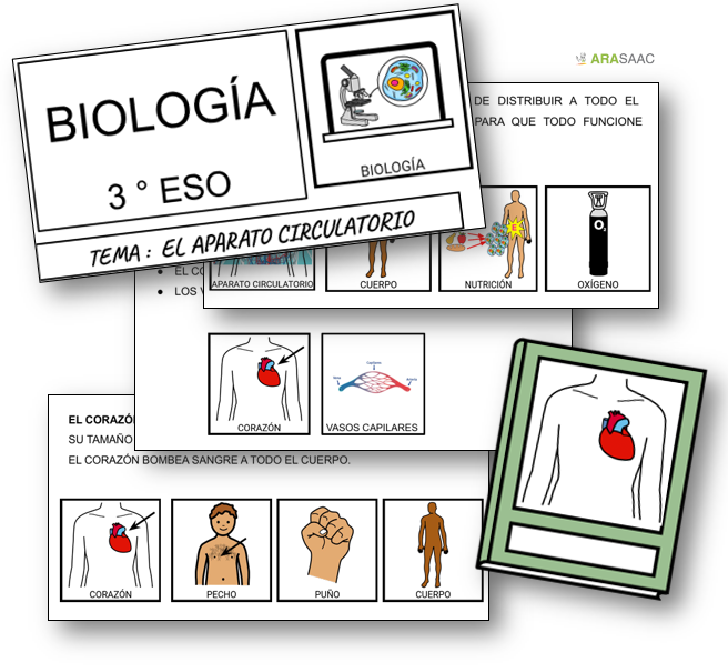 Unidad didáctiva: El aparato circulatorio