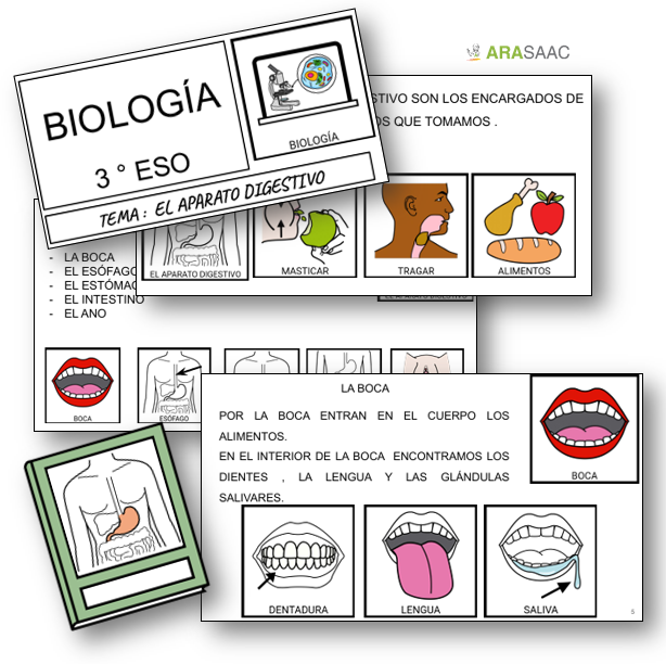 Unidad didáctica: El aparato digestivo
